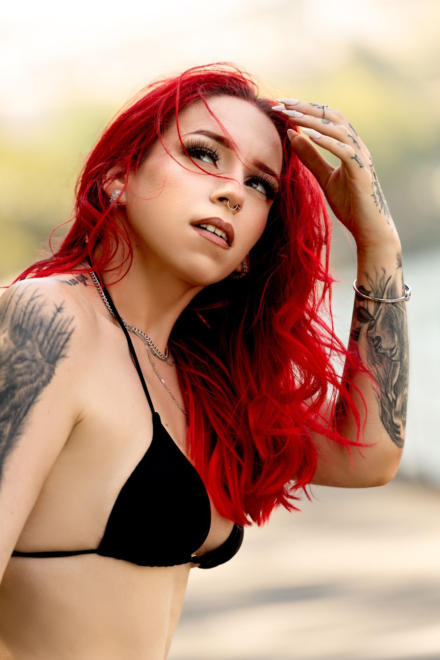 Ariel
