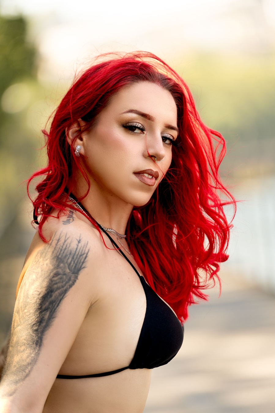 Ariel